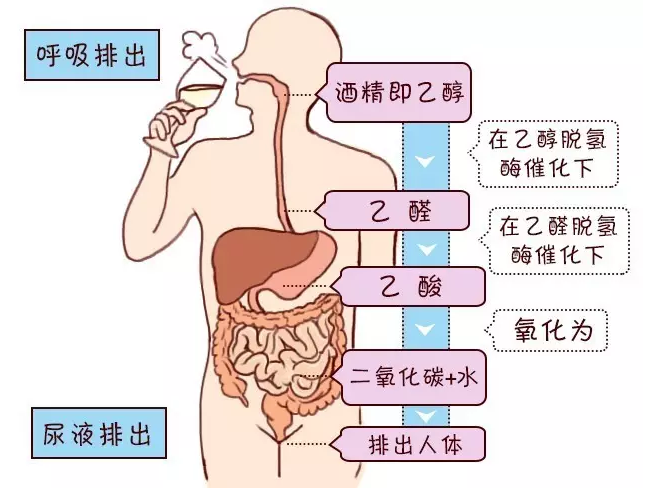 泸州原酒